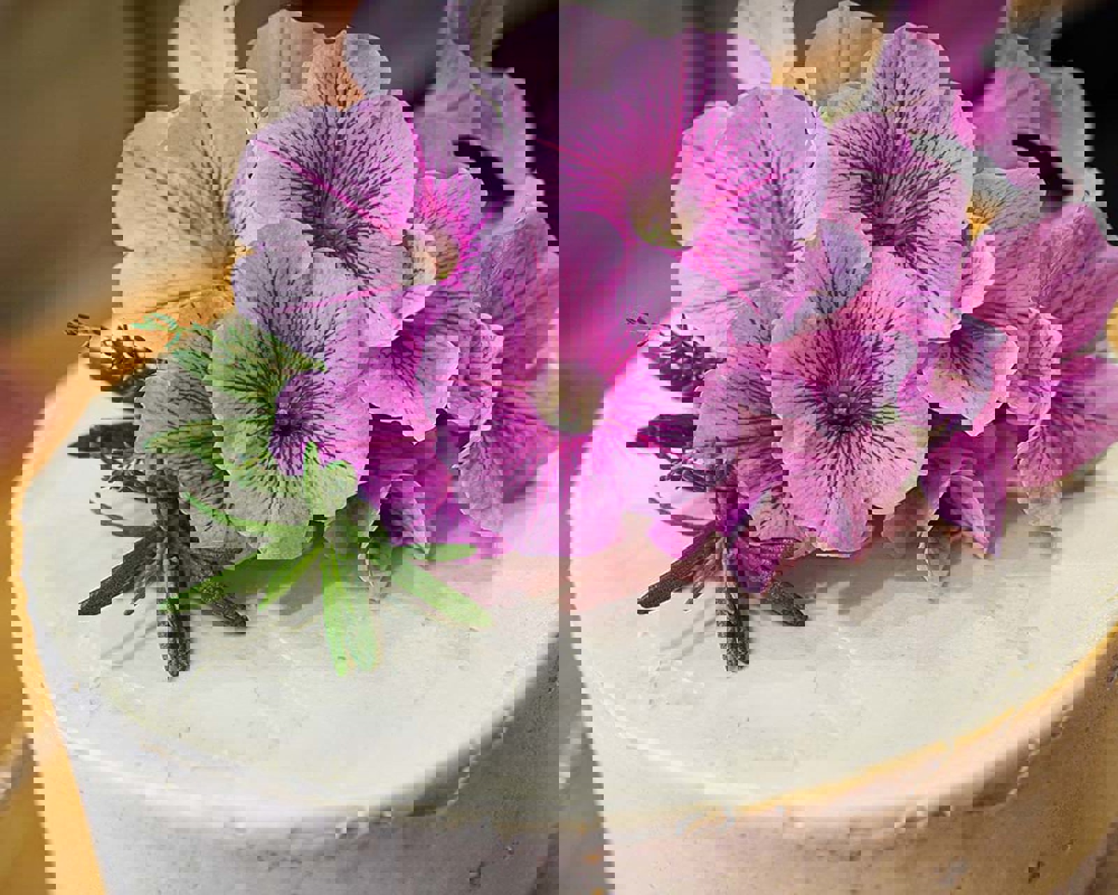 /uploads/components/newsarticle/VanillaSpongeCake-61eec3223b9cf.jpg (2)