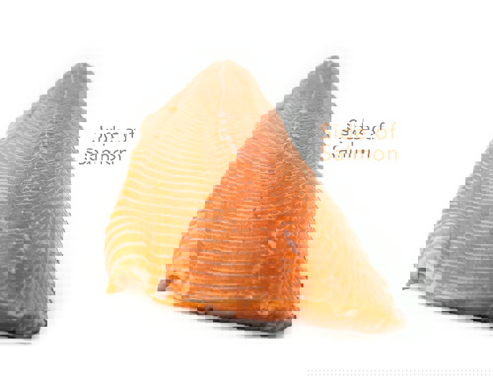 /uploads/components/newsarticle/SideofSalmon_03c5c92b-945a-4ccc-b507-d1a75b1b43cc-63639d26de621.jpg